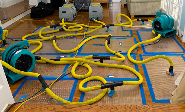 Professional Water Extraction technician working in Green Ridge, MO
